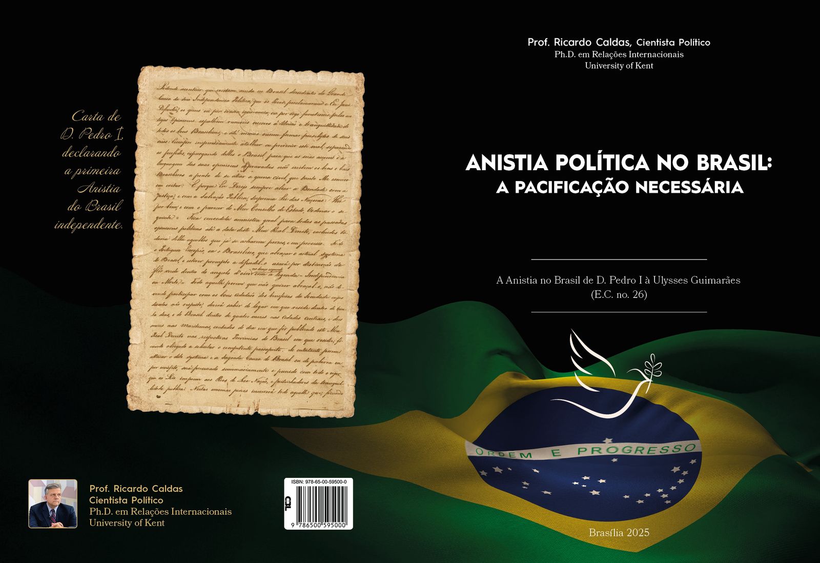 A ANISTIA POLITICA NO BRASIL